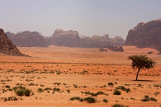 Wadi Rum